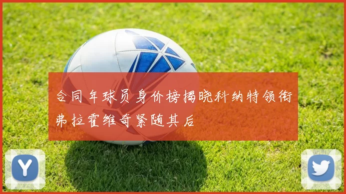 合同年球员身价榜揭晓科纳特领衔弗拉霍维奇紧随其后
