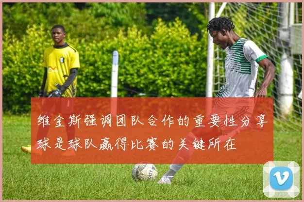 维金斯强调团队合作的重要性分享球是球队赢得比赛的关键所在